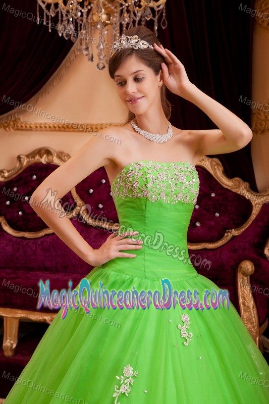 Spring Green Appliques and Diamonds Sweet Sixteen Dresses in Seattle