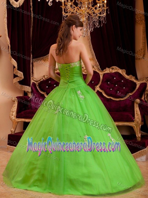 Spring Green Appliques and Diamonds Sweet Sixteen Dresses in Seattle