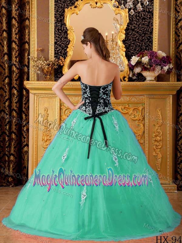 Paillettes Lace and Handle Flowers Quinceanera Dresses near Mill Creek