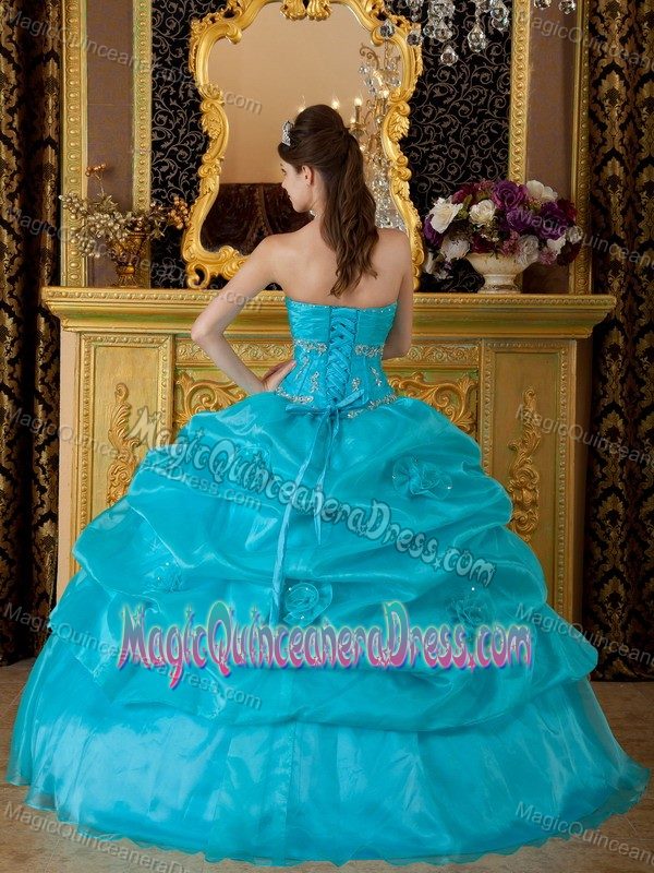Teal Pick Ups and Appliques Sweet Sixteen Quinceanera Dresses in Issaquah