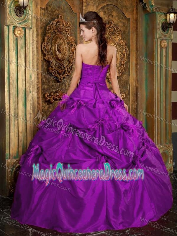 Handle Flowers and Pick Ups Ruching Quinceanera Gowns in Bremerton