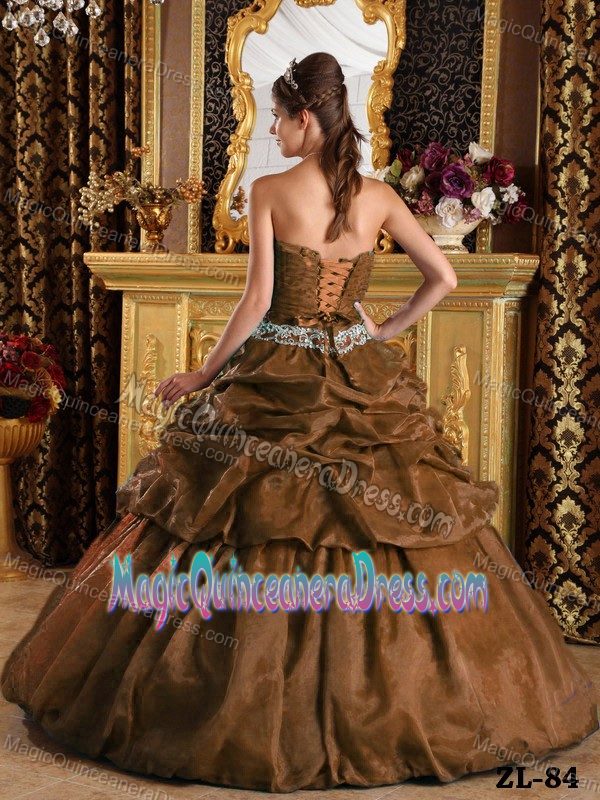 Ruche Appliques and Pick Ups Brown Quinceanera Gown in Bothell