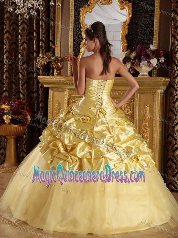 2012 Desirable Yellow Taffeta and Tulle Beading Quinceanera Dress Floor-length