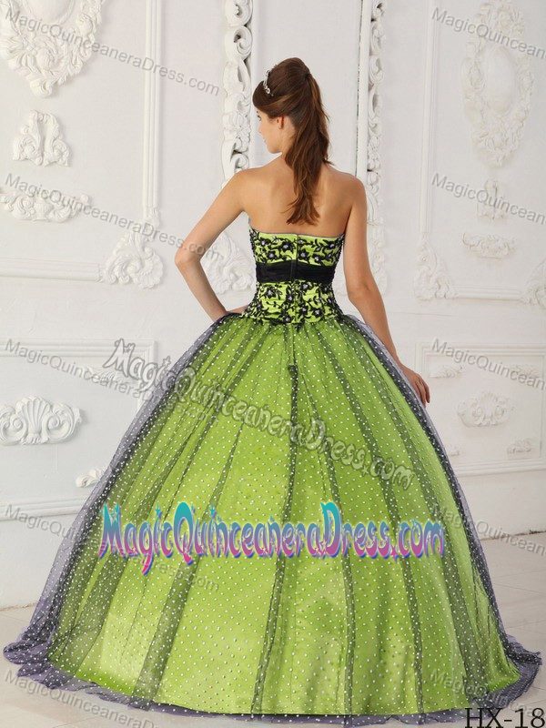Black and Yellow Green Strapless Beading and Appliques Quinceanera Dress 2013