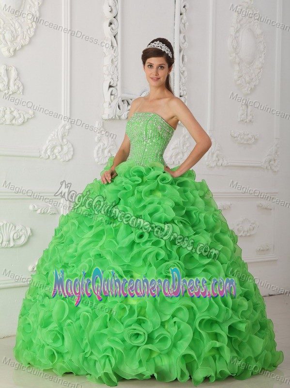 Strapless Beaded Organza Green Quinceanera Dress with Rolling Flowers in Berwyn