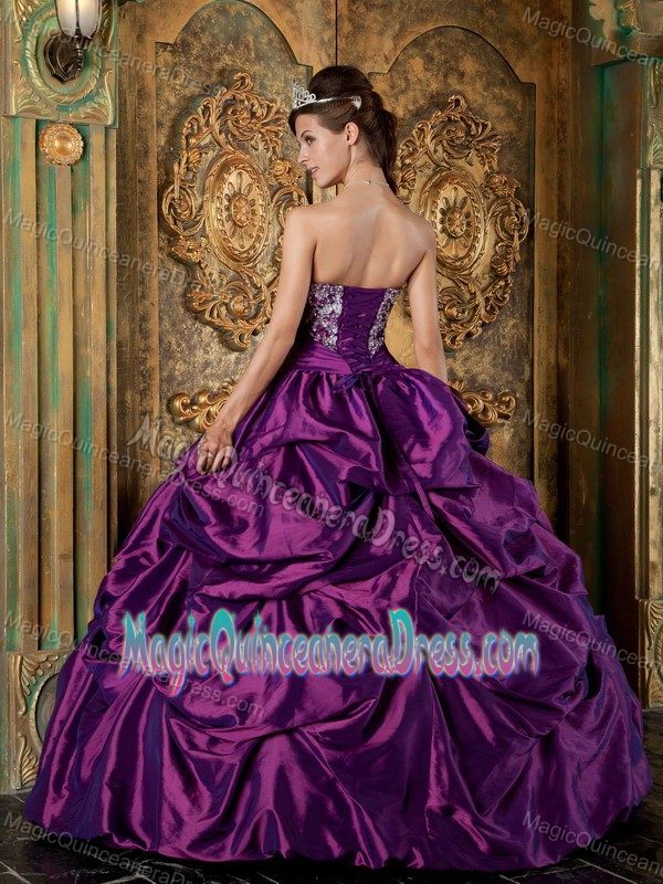 Purple Strapless Taffeta Embroidery Quinceanera Dress Floor-length in Warwick