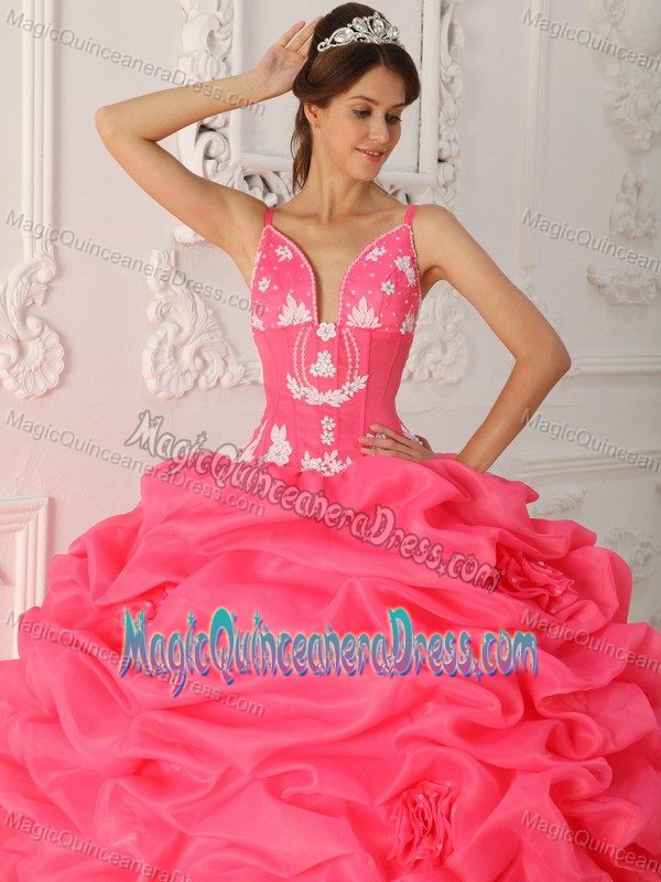 Discounted Watermelon Straps Satin and Organza Appliques Quinceanera Dress
