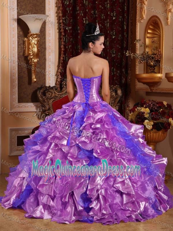 Classical Purple Strapless Organza Embroidery Quinceanera Dress in Norfolk VI