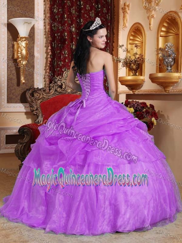 Best Seller Purple Strapless Organza Quinceanera Dress with Beading and Pick-ups