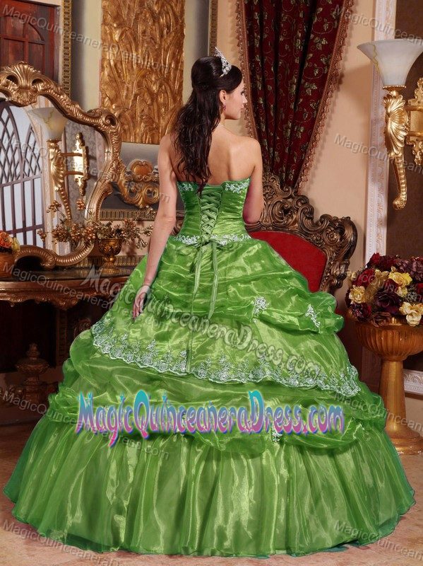 2013 Fave Olive Green Strapless Organza Appliques Quinceanera Dress in Louisa