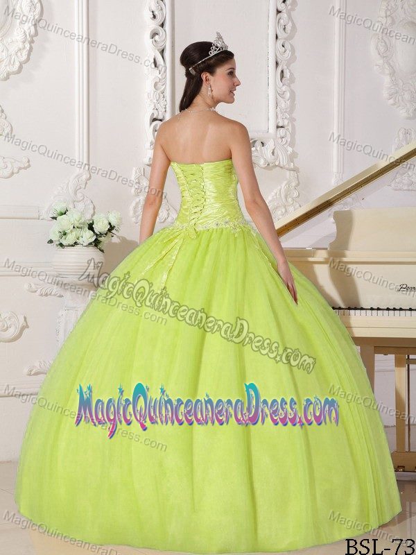Yellow Green Strapless Appliques Taffeta and Tulle Quinceanera Dress in Sandy UT