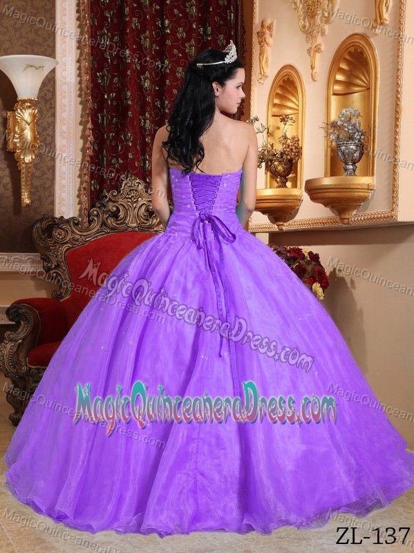 Customize Lilac Organza Appliques Strapless Quinceanera Dress in Park City UT