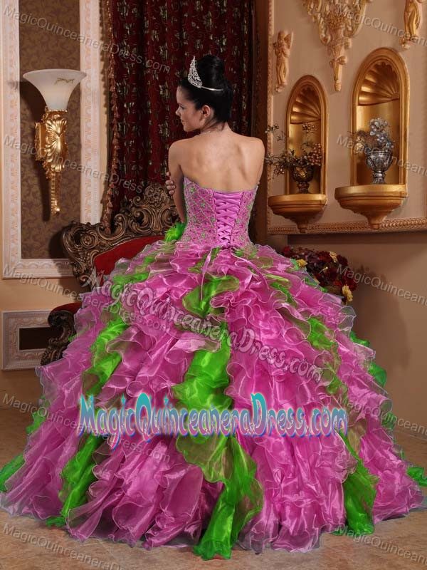 Exclusive Sweetheart Organza Beading Quinceanera Dress in Bellevue WA