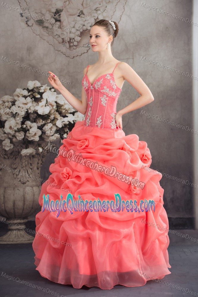 Watermelon Appliqued Long Quinceanera Dress with Pick-ups in Soacha Colombia