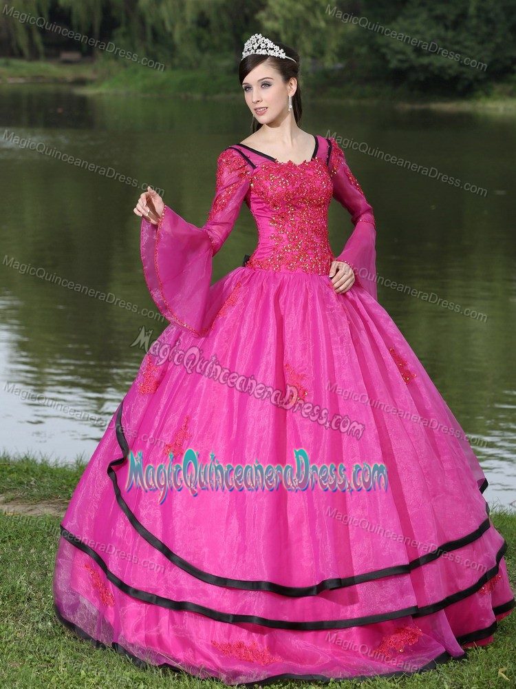 Appliqued Fuchsia V-neck Quinceanera Dress with Long Sleeves in Ibague