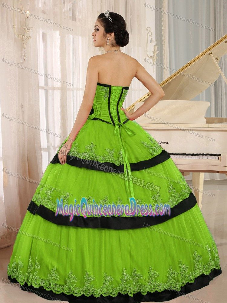 Spring Green Hand Flowery Custom Made Quinceanera Dress in Medelln