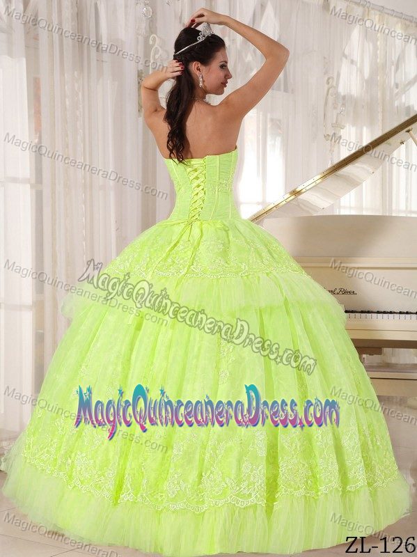 Sweetheart Organza Quinceanera Gown Dresses with Appliques in Mejillones