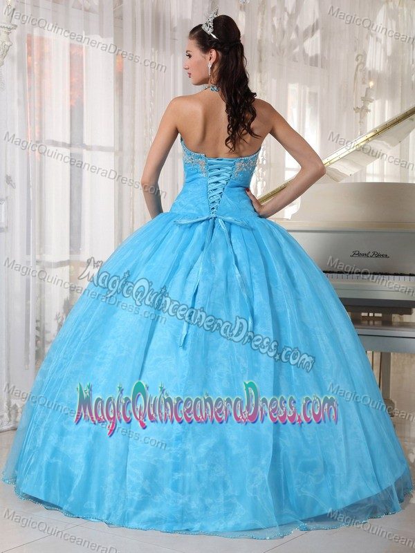 Baby Blue Taffeta and Organza Quince Dress with Appliques in Bothell