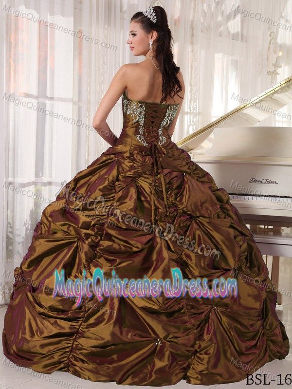 Brown Strapless Floor-length Taffeta Embroidered Quince Dress in Norfolk
