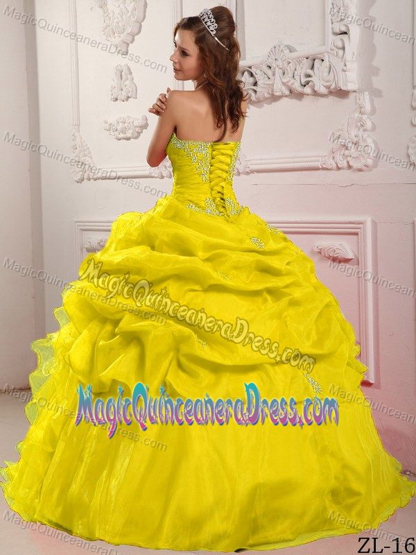Yellow Organza Quinceanera Dress with Beading and Ruffles in Auburn WA