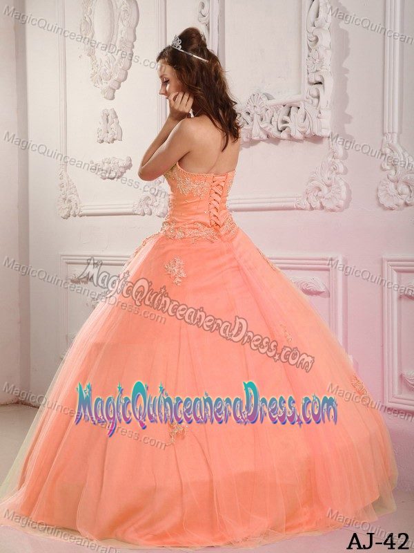 Sweetheart Tulle Appliqued Pink Classical Quinceanera Dresses in Wausau