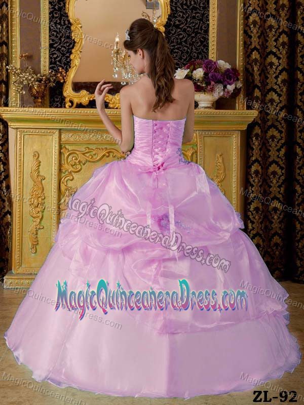 Pink Strapless Organza Ruched Quinceanera Dress with Beading in Spokane