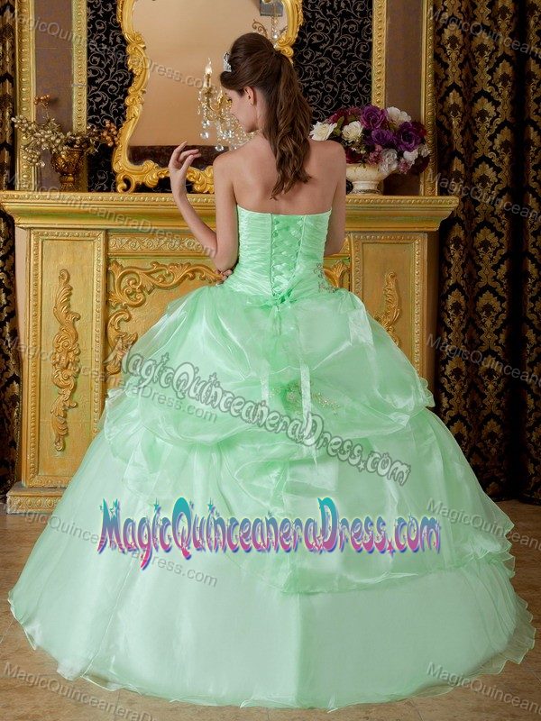 Strapless Organza Beaded Ruched Quinceanera Gowns in Apple Green in Tacoma