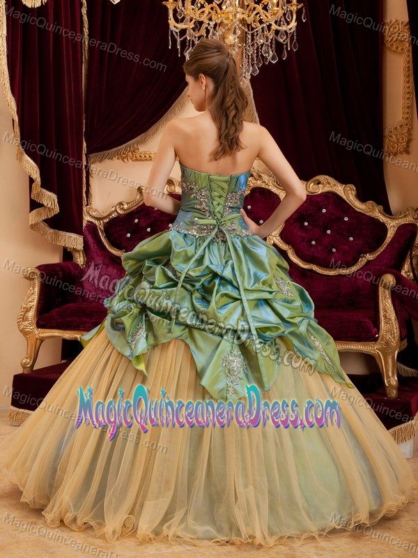 Olive Green Strapless Taffeta and Tulle Beaded Quinceanera Dress in Redmond