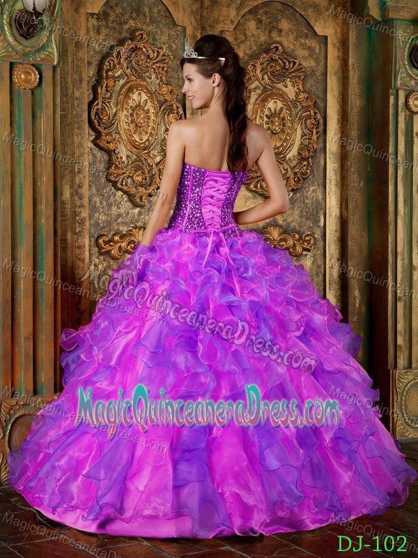 Multi-Colored Strapless Organza Beaded Ruffled Quinceanera Dress in Fairfax
