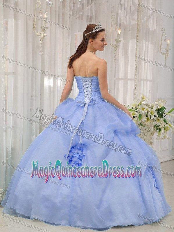 Sweetheart Organza Appliqued Quinceanera Dresses in Light Blue in Chesapeake