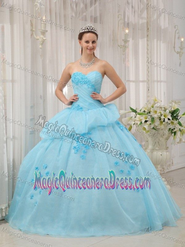 Light Blue Sweetheart Organza Quinceanera Dress with Appliques in Herndon