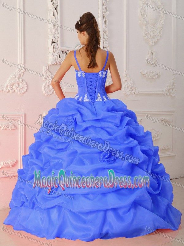 Floor-length Appliqued Quinceanera Gown Dress in Blue in Falls Church VA