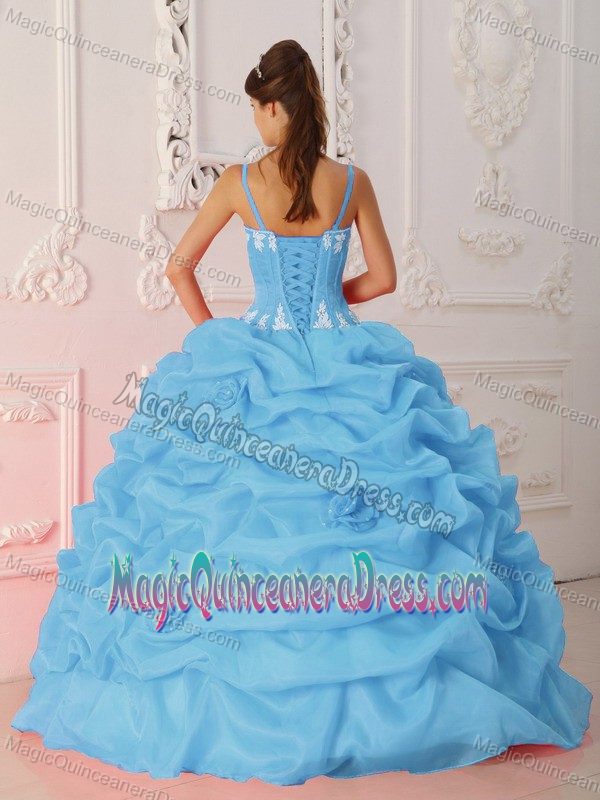 Baby Blue Floor-length Satin and Organza Quince Dress with Appliques in Arlington