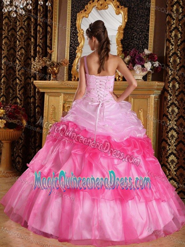 Romantic One Shoulder Organza Appliqued Quince Dress with Beading in Tyler