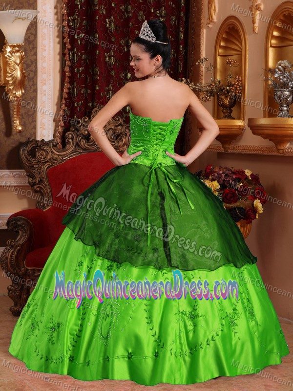 Spring Green Sweetheart Satin Embroidered Quinceanera Dress with Beading
