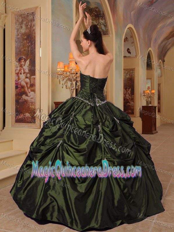2014 Olive Green Strapless Floor-length Quinceanera Gowns in Germany