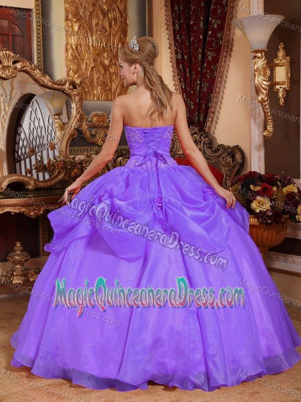 Lilac Sweetheart Appliques Organza Dresses 15 in Bogota Colombia