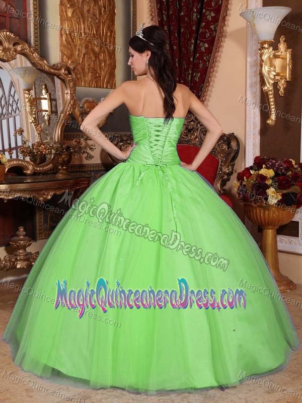 Spring Green Beaded Sweetheart Full-length Quinceanera Gowns in Duluth