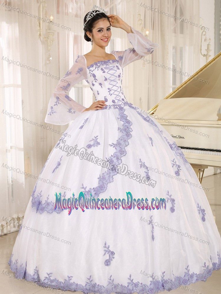 Square Long Sleeves White Full-length Quinceanera Dress with Embroidery