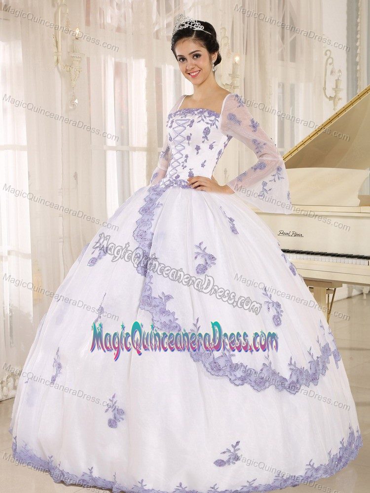 Square Long Sleeves White Full-length Quinceanera Dress with Embroidery
