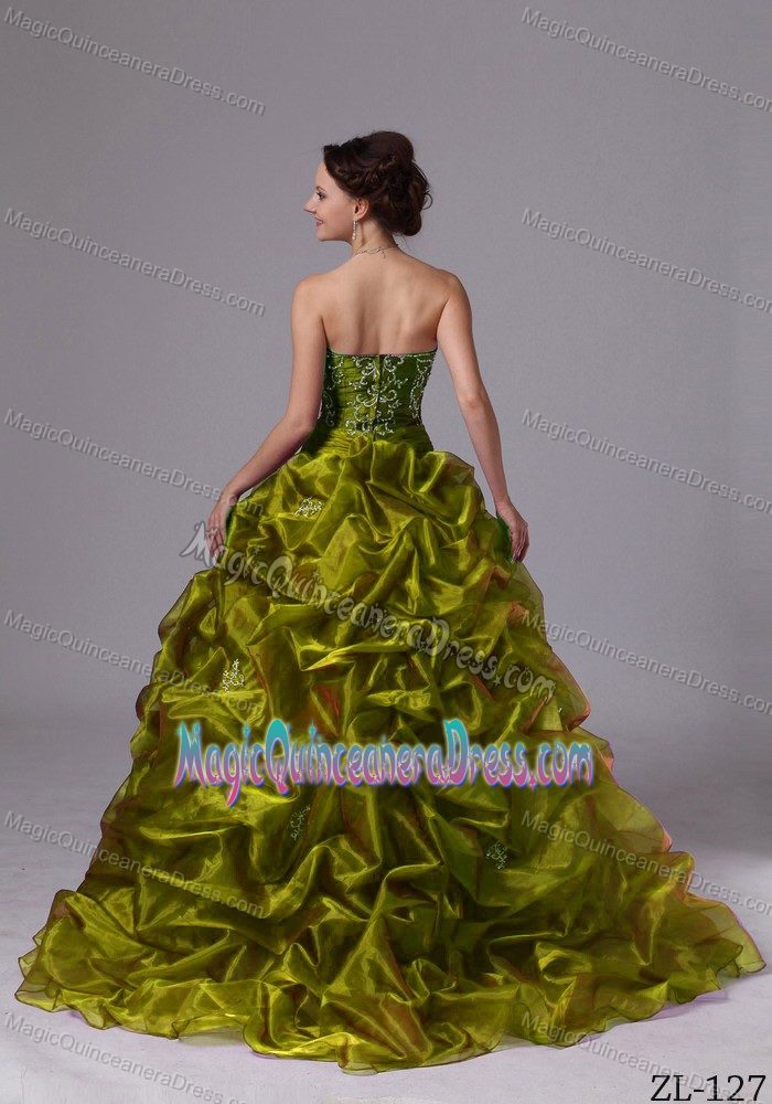 Olive Green Sweep Quince Dresses with Pick-ups and Embroidery in Bend