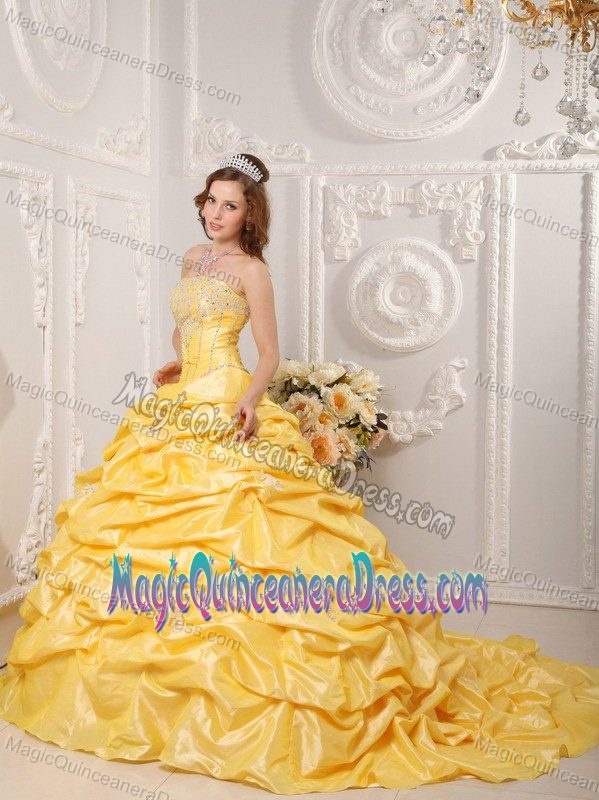 Pretty Yellow Strapless Court Quinceanera Dresses with Pick-ups and Beading
