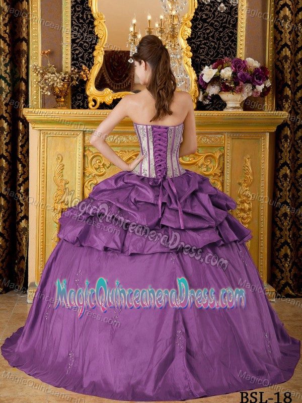 Elegant Purple Lace-up Long Quinceanera Dress with Pick-ups and Appliques