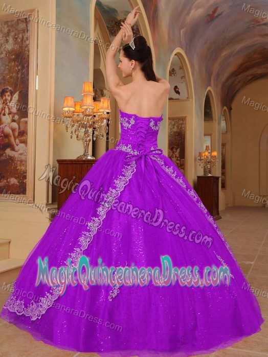 Ball Gown Sweetheart Organza Embroidery and Beading Quinceanera Dress