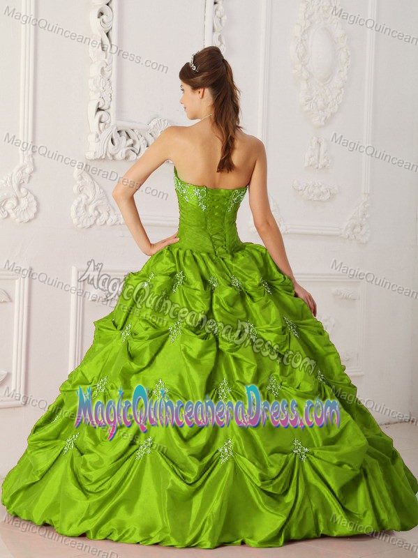 Olive Green A-line Strapless Taffeta Appliques and Beading Quinceanera Dress