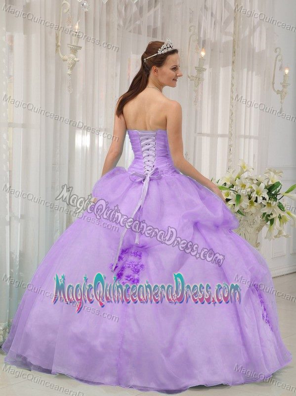 Lilac Ball Gown Sweetheart Organza Appliques Quinceanera Dress in Bronx