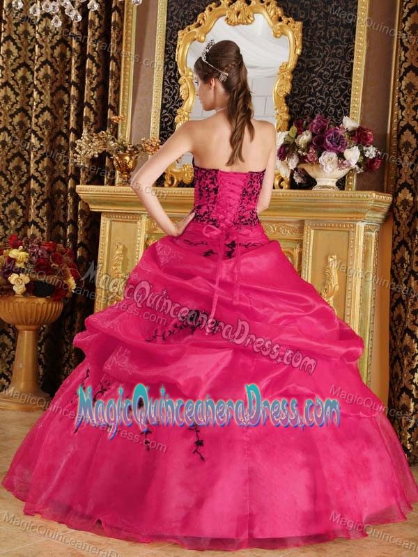 Coral Red Ball Gown Sweetheart Satin and Organza Embroidery Sweet 16 Dress