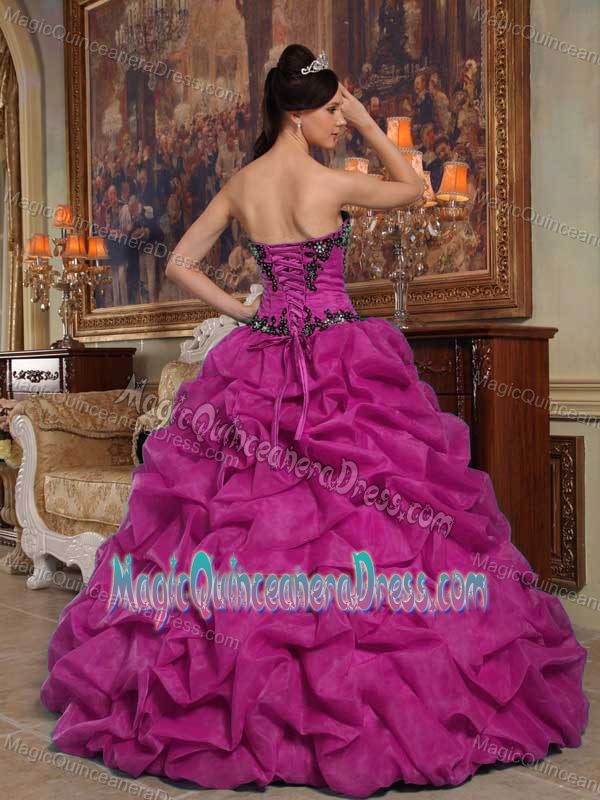 Fuchsia A-line Strapless Appliques and Pick-ups Quinceanera Dress in Amherst