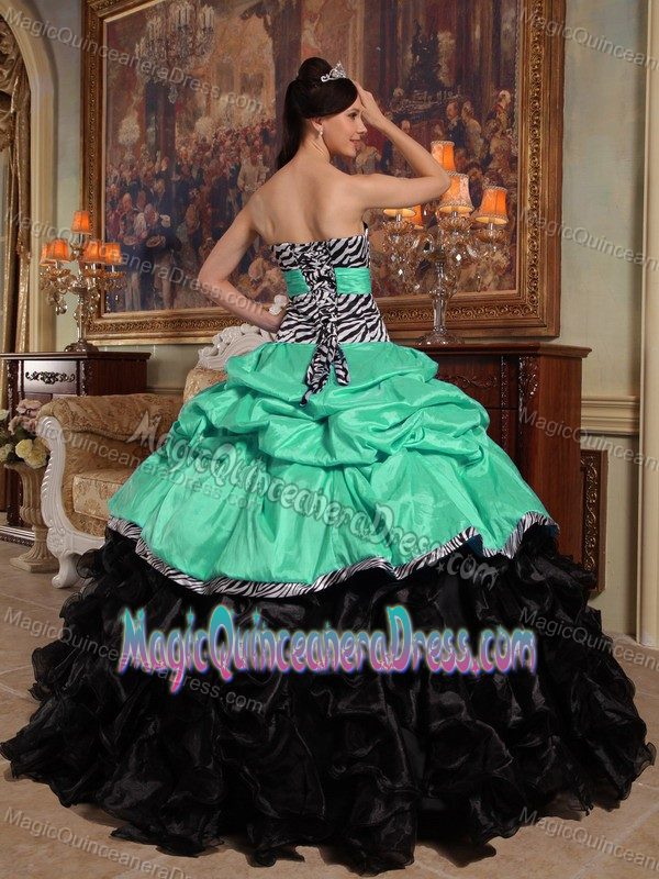 Green and Black Sweetheart Pick-ups Quinceanera Dress with Zebra in Santa Fe