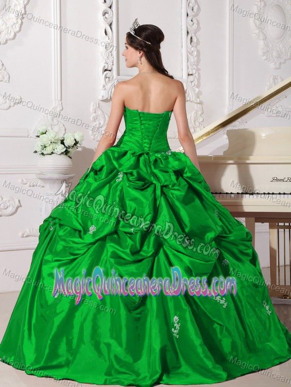 Special Green Sweetheart Taffeta Quinceanera Dress with Pick-ups and Appliques